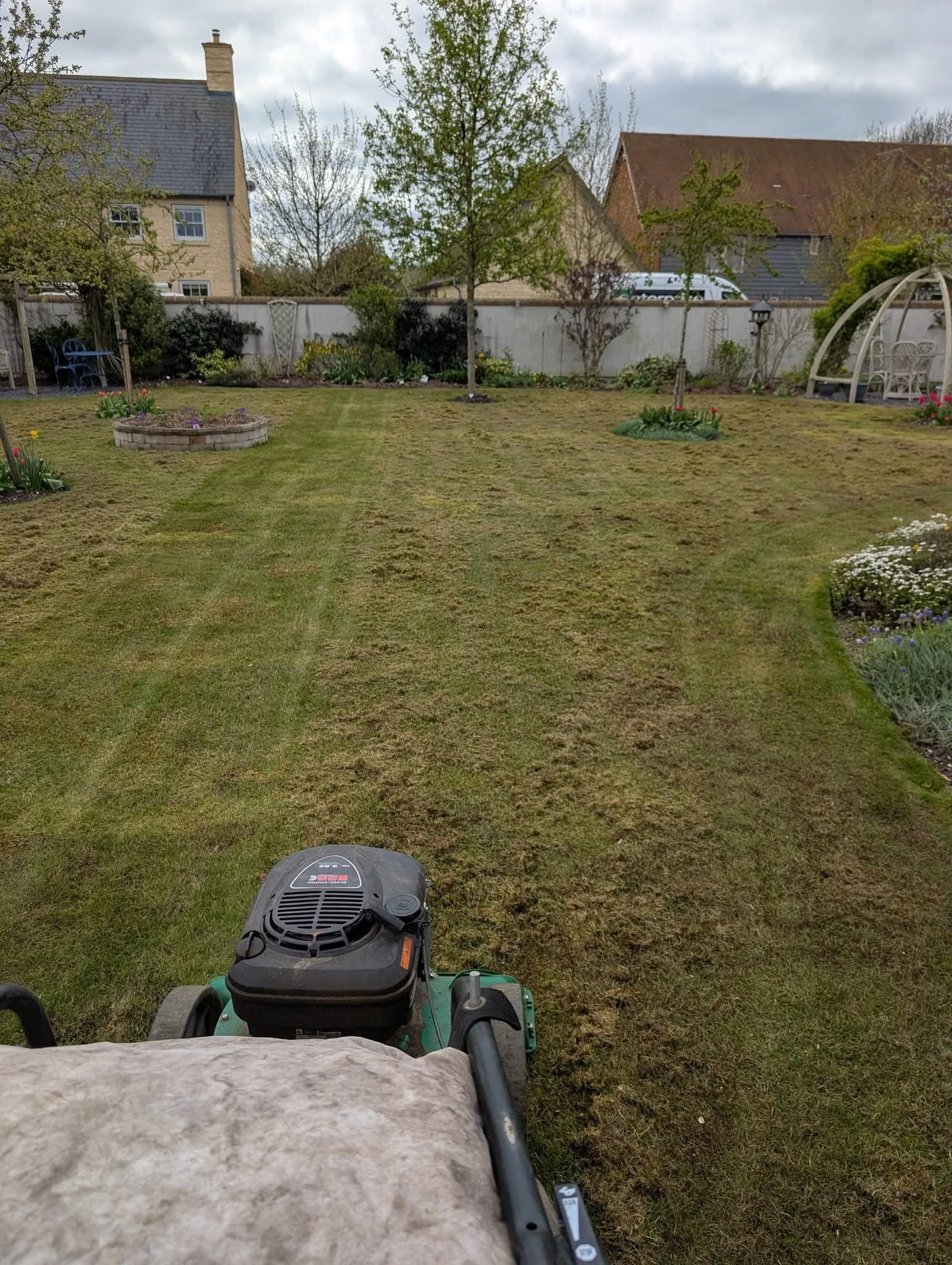 Lawn Weed Management